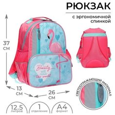 Calligrata Рюкзак школьный, 37 х 26 х 13 см, эргономичная спинка, Calligrata ОРТ "Фламинго"