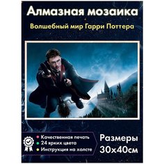 Алмазная мозаика Fantasy Earth Гарри Поттер на метлае/ Картина стразами / Мозаика для детей / Алмазная вышивка