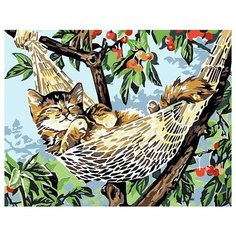 Картина по номерам Котенок в гамаке 40х50 см Colibri