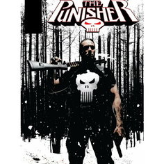 Плакат, постер на бумаге Punisher/Каратель/игровые/игра/компьютерные герои персонажи. Размер 42 х 60 см