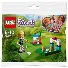 Конструктор LEGO Friends 30405 Хоккейная тренировка Софии, 39 дет.