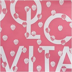 Папка на молнии BrunoVisconti, А4 (34 х 26 см), "DOLCE VITA. PINK", Арт. 14-004/14