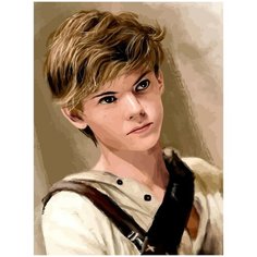 Картина по номерам на холсте бегущий в лабиринте - 2 30X40