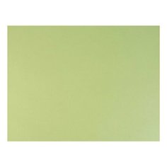 Бумага для пастели (1 лист) FABRIANO Tiziano А2+ (500х650 мм), 160 г/м2, салатовый теплый, 52551011, 10 шт.