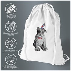 Сумка для обуви CoolPodarok Животные Собакен в треугольной шляпке