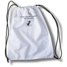 Мешок для cменной обуви надписи приколы, потеряно соединение с сервером, принт загружается, динозавр, интернет, шрифты, надписи, слова - 30725 Brut Bag