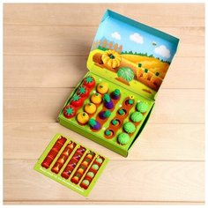 Romanoff Развивающий набор "Любимый огород" в пакете