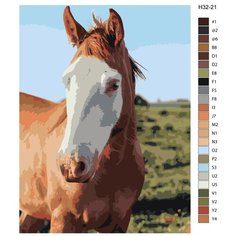 Картина по номерам Н32 "Рыжий конь", 70x90 см Brushes Paints