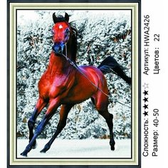 Алмазная мозаика лошади HWA2426 на подрамнике 40х50см круглые стразы Нет бренда