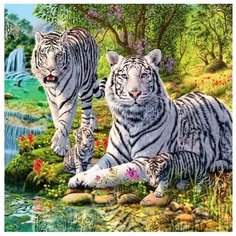 Картина по номерам Семейство белых тигров (19 цветов) 30*30 см Molly