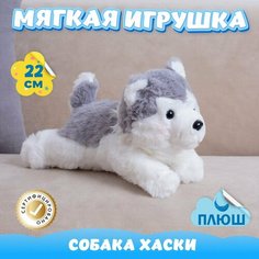 Мягкая игрушка Собака Хаски для девочек и мальчиков / Плюшевая Собачка для детей KiDWoW серый 22см
