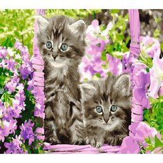 Картина по номерам Котята 40х50 см Hobby Home