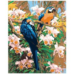 Картина по номерам Попугаи 40х50 см Hobby Home