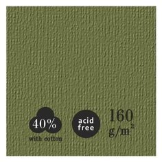 Бумага для пастелей Лилия Холдинг "Палаццо" 350х500 мм "Dark jungle" (тёмные джунгли ) 10л 160г
