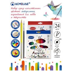 Набор акварельных цветных карандашей 24 цвета + кисточка Acmeliae