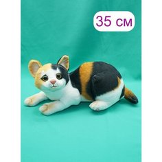 Мягкая игрушка черный-рыжий Кот 29 см. АКИМБО КИТ