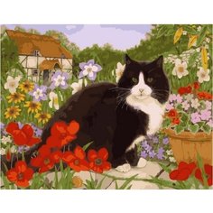 Картина по номерам Дачный кот 40х50 см Hobby Home