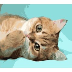 Картина по номерам Чистые лапки 40х50 см Hobby Home