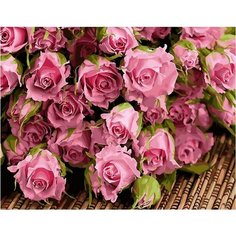 Картина по номерам Большой букет розовых роз 40х50 см Hobby Home