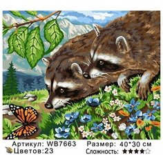Картины по номерам для детей енот на подрамнике 30х40см WB7663 Нет бренда