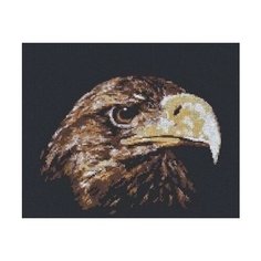 Набор Взгляд орла 26х22 Палитра 02.003