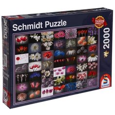Пазл «Коллаж - цветы», 2000 элементов Schmidt
