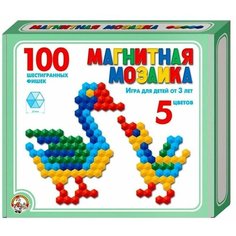 Мозаика магнитная шестигранная Десятое королевство