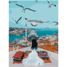 Картина по номерам Турция свысока 40х50 см АртТойс