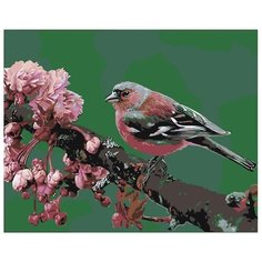 Картина по номерам Птичка на ветке 40х50 см АртТойс