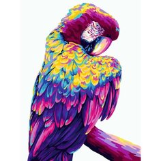 Картина по номерам Попугай Ара 40х50 см АртТойс