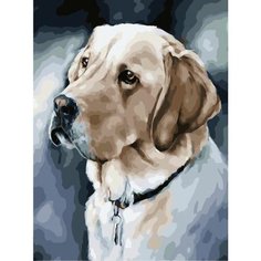 Картина по номерам Друг человека 40х50 см АртТойс