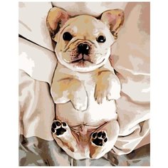 Картина по номерам Милый щенок 40х50 см АртТойс