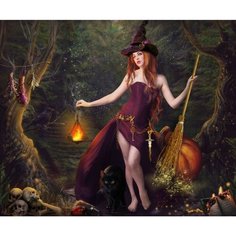 Картина по номерам Ведьмочка 40х50 см АртТойс