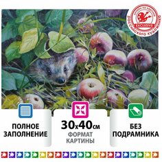 Картина стразами (алмазная мозаика) 30х40 см, остров сокровищ "Ёжик", без подрамника, 662564