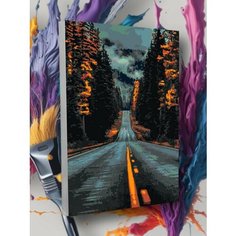 Картина по номерам Дорога Лес Трасса Ночь Облака Деревья Круто красим