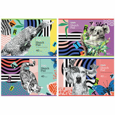 Альбом для рисования 40л, А4, на скрепке BG "Animal picture", 8 штук, 339432 БиДжи