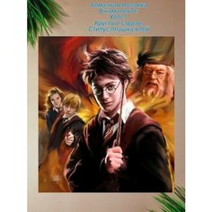 Алмазная мозаика Гарри Поттер, Дамблдор, размер 40*30см Цветочный Калейдоскоп