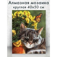 Алмазная мозаика (круглая) Котик с бабочкой 40х50 см Colibri