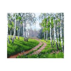 Картина по номерам на холсте 40х50 Цветной