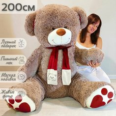 Большой плюшевый медведь, плюшевый мишка, мягкая игрушка Кельвин 200 см Нет бренда