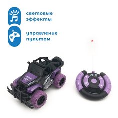 Внедорожник DA HUA TOYS Машинка DA HUA TOYS 1:20 Джип на радиоуправлении Голубой, 1:20, 18 см, фиолетовый