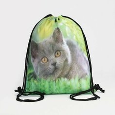 Мешок для обуви на шнурке, цвет зелёный Нет бренда