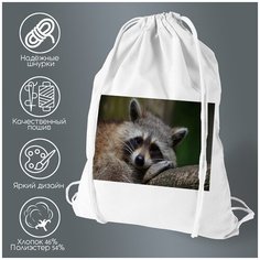 Сумка для обуви CoolPodarok Енот лежит на ветке