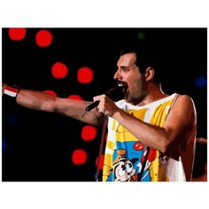 Картина по номерам на холсте Музыка QUEEN Фредди Меркьюри - 6338 Г 30x40