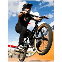 Картина по номерам на холсте спорт bmx - 458 30X40