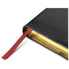 Еженедельник недатированный синий, A4,222х302мм,128 стр, Br. V. PROFY 3-098/01 Bruno Visconti