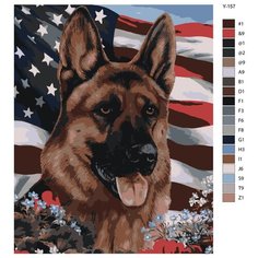 Картина по номерам Y-157 "Немецкая овчарка патриот США. Собака 60x80 Brushes Paints