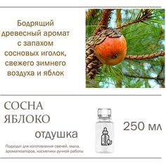 Сосна и яблоко, отдушка для свечей и мыла (250 мл) Candle M