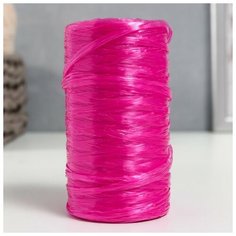 Пряжа "Для вязания мочалок" 100% полипропилен 300м/75±10 гр (пион) Noname