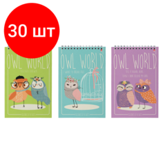 Комплект 30 шт, Блокнот А5, 40 л, гребень, ламинированный картон, клетка, Альт, "Совы", (5 видов), 3-40-024